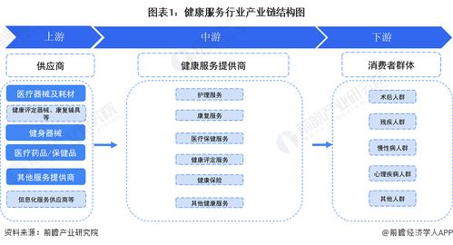 健康服務行業產業鏈全景梳理及區域熱力地圖分析——聚焦技術服務