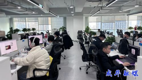 出海升級，攻堅克難 成都成華科技企業開啟2026沖刺模式